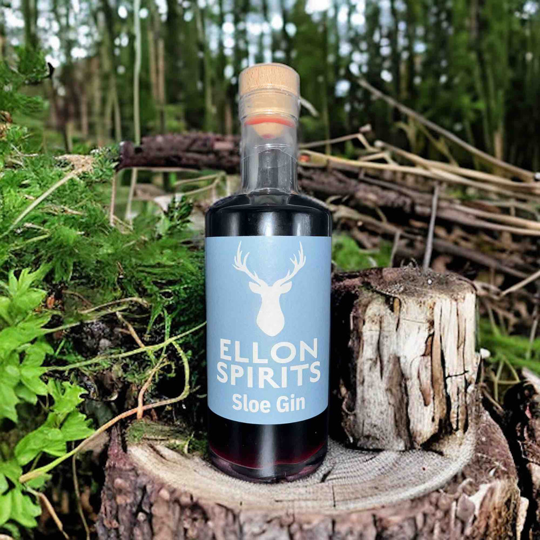 The Sublime Sophistication of Sloe Gin: Elevate Your Cocktails with Ellon Spirits
