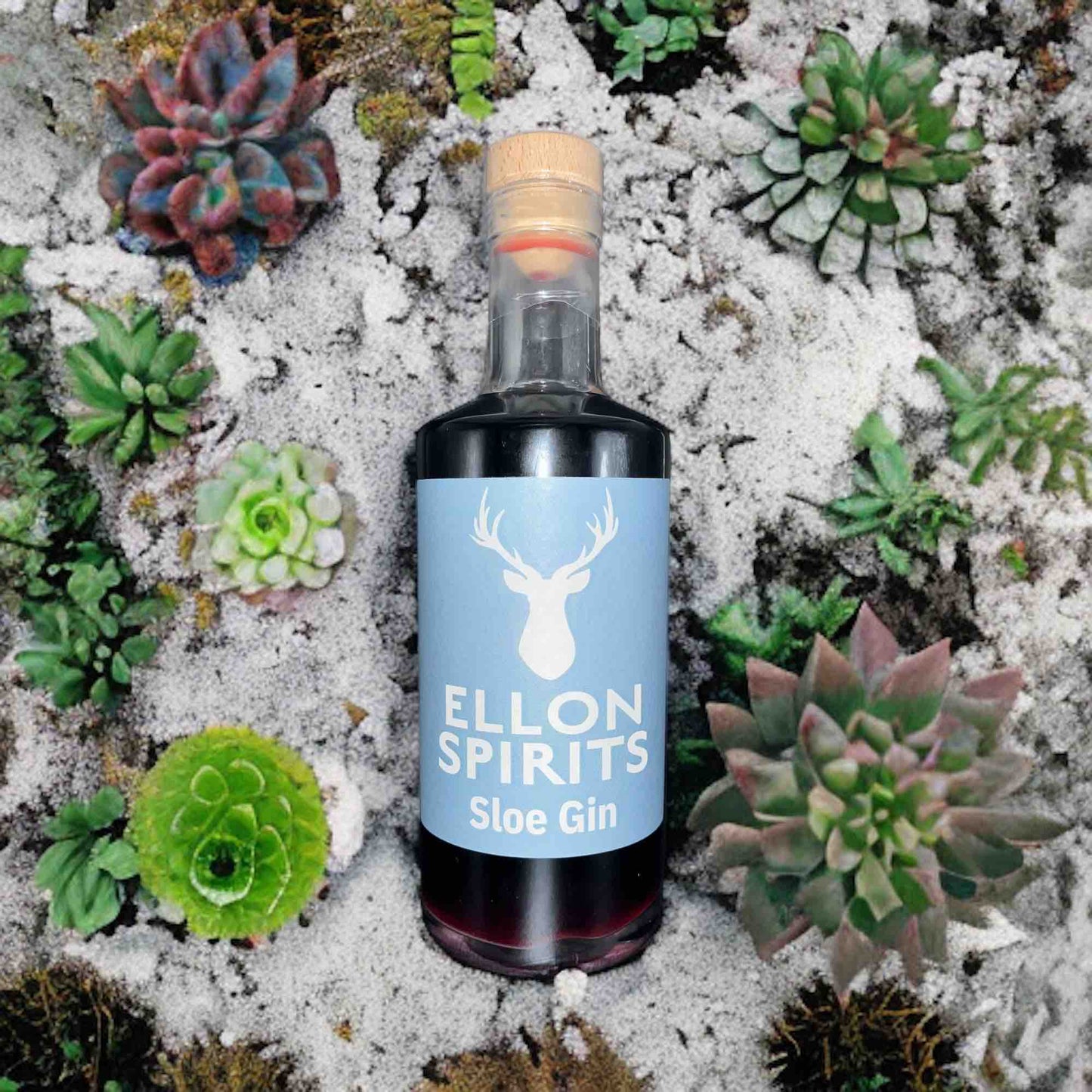 Ellon Spirits Sloe Gin 28% 500ml on beach with flowers
