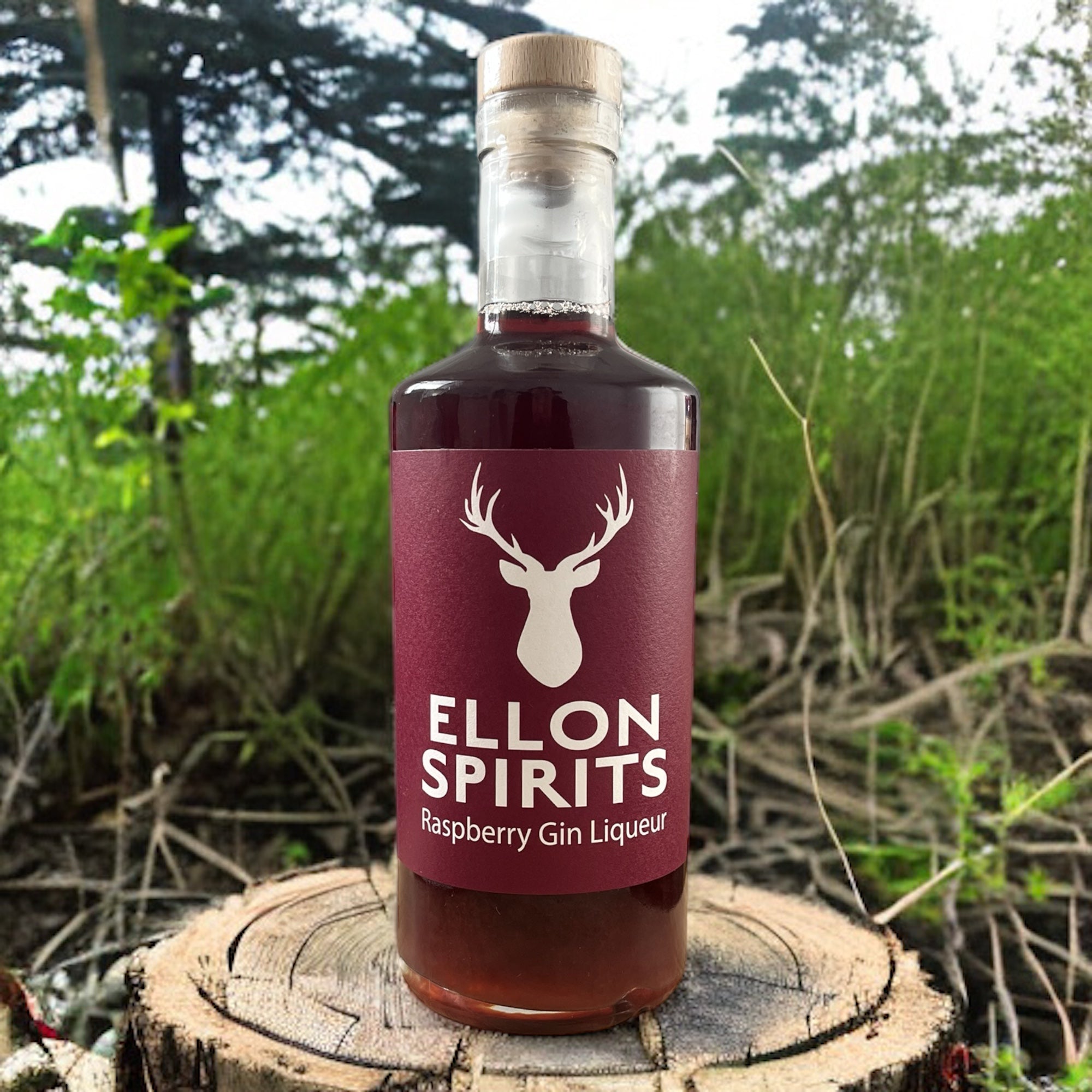 Indulge in Raspberry Bliss: Exploring the Allure of Raspberry Gin Liqu ...