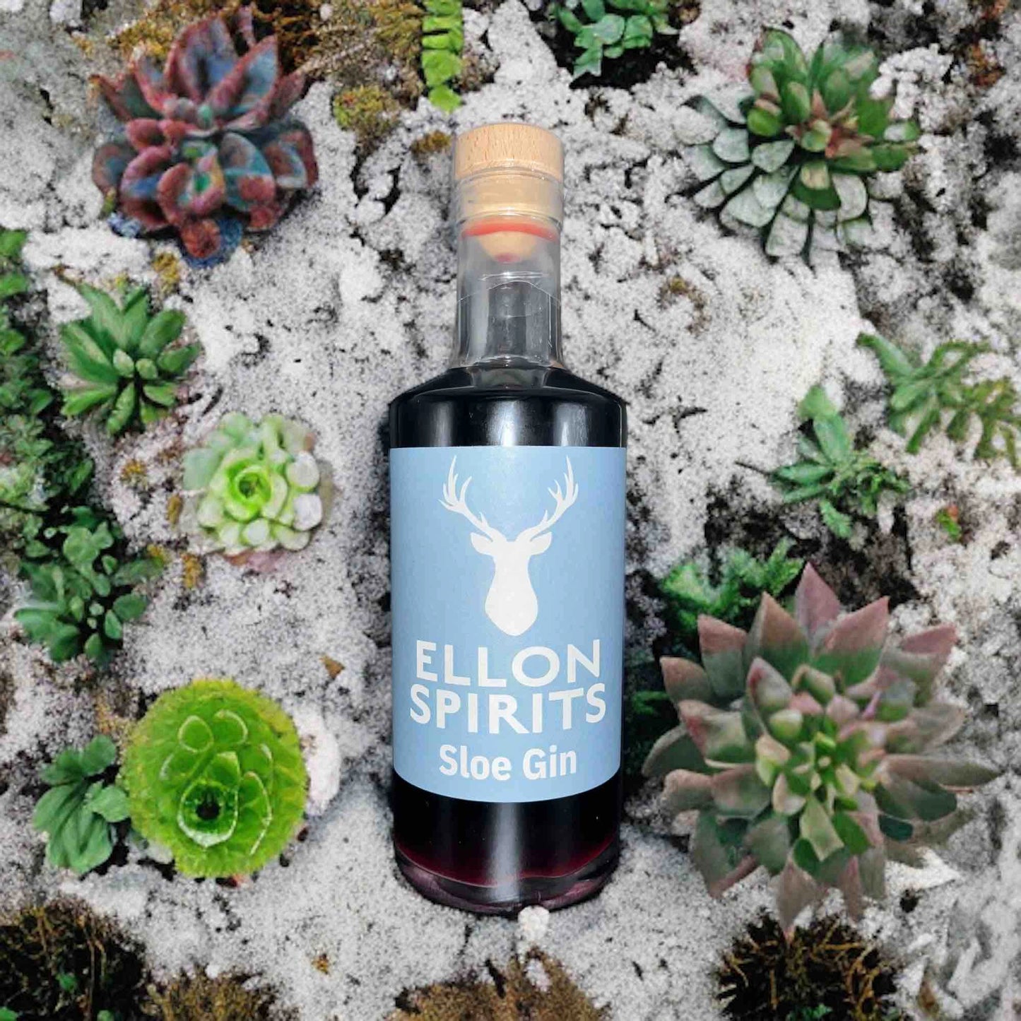 Ellon Spirits Sloe Gin 28% 500ml